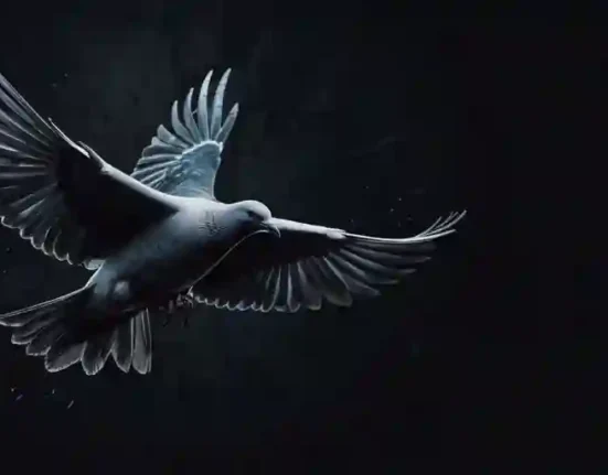 Dead dove meaning