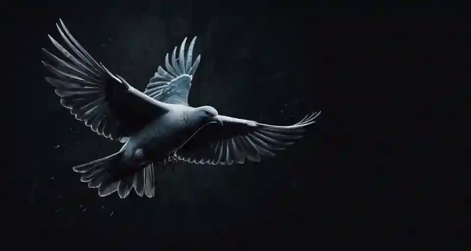 Dead dove meaning