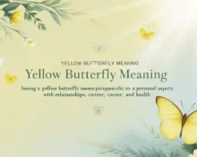 Yellow butterfly meaning